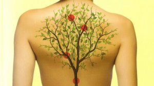 Kuinka tunteet vaikuttavat kehosi eri elimiin?