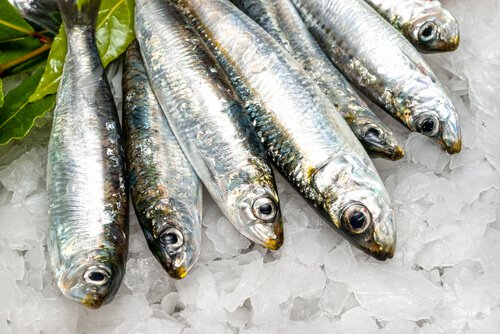 kala on rasvaa polttavaa ruokaa
