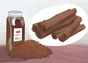 Lemmenlääke, stimulantti ja paljon enemmän - Kanelin hyödyt