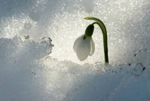 "Suomalainen sisu" saa mainetta maailmalla