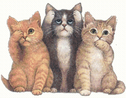 kolme kissaa