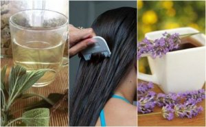 5 yrttihoitoa täiden karkottamiseksi