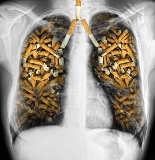 tupakasta koituvat haitat keuhkoille
