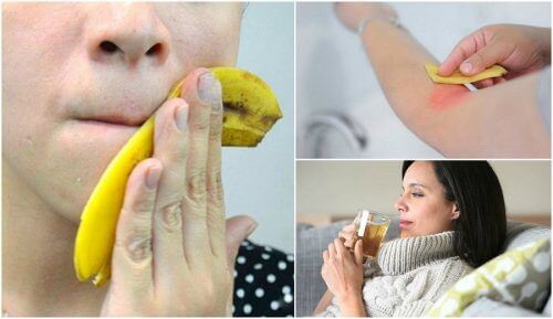 8 kiehtovaa tapaa käyttää banaaninkuoria 8 kiehtovaa tapaa käyttää banaaninkuoria