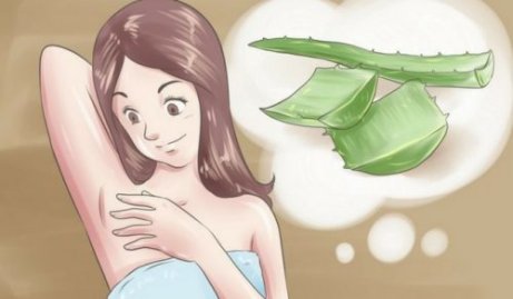 5 luonnollista kotitekoista deodoranttia 5 luonnollista kotitekoista deodoranttia
