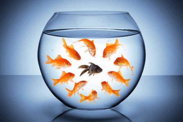 myrkyllisiä sanoja: outo