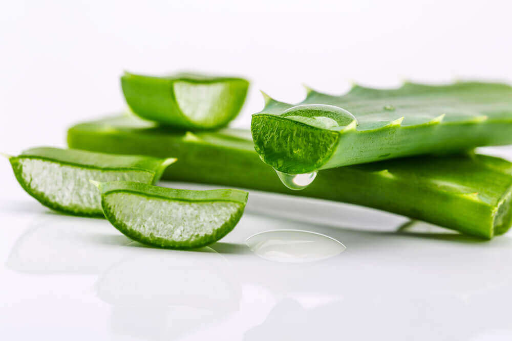 Aloe vera edistää ihon uusiutumista.