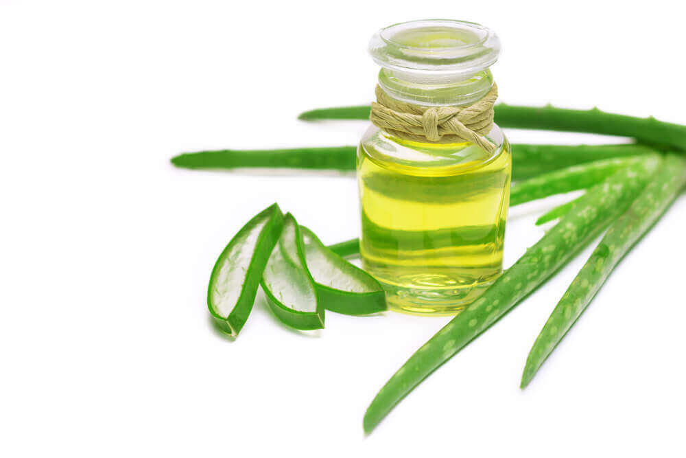 aloe vera ja öljy