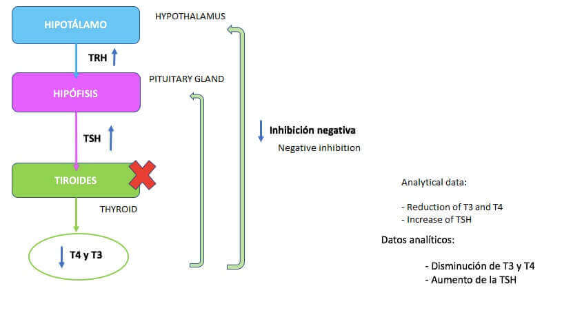 kiliprauhasen toimintaa näyttävä taulukko
