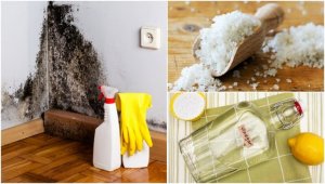Poista home ja kosteus kotoa - 5 tehokasta niksiä