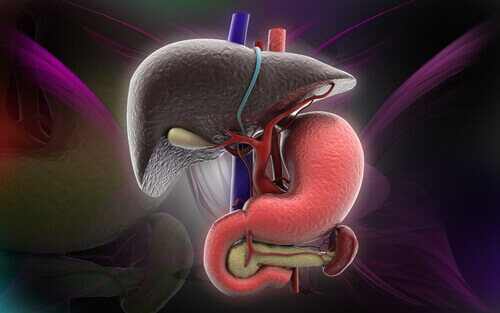 6 varoitusmerkkiä rasvamaksasta