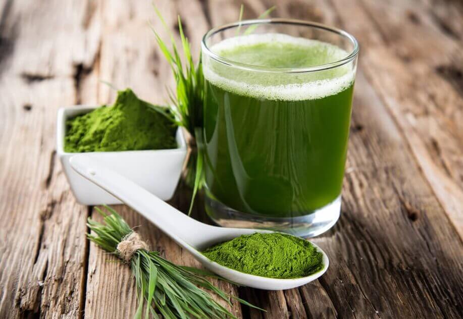 spirulinaa veden joukossa