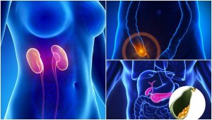 7 elintä, joita et oikeastaan tarvitse selviytyäksesi