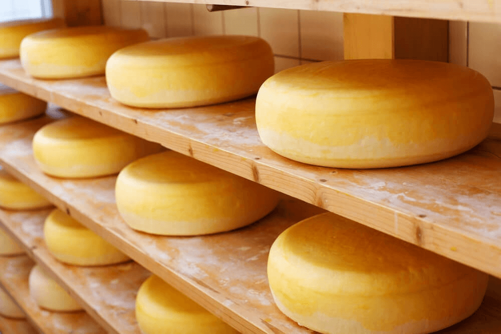 terveellisimmät juustot: cheddar