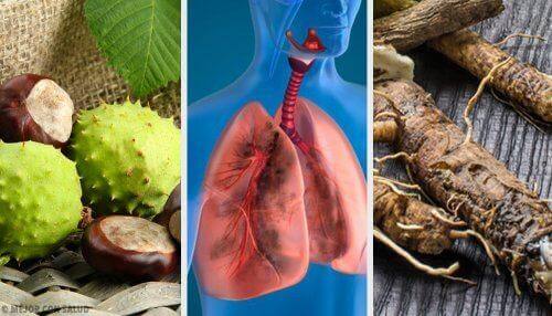 Paranna hengitystä ja vahvista keuhkoja: 4 kotihoitoa