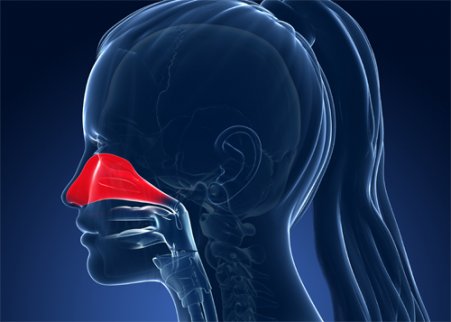 Allerginen nuha saattaa olla perinnöllistä.