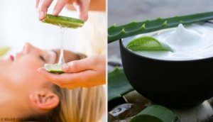 Kotitekoiset meikinpoistoaineet aloe verasta