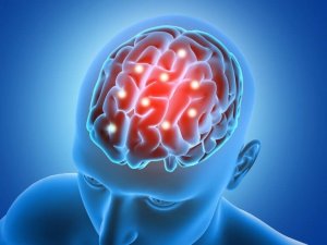 5 aivoja aktivoivaa ravinnetta