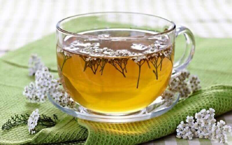 Kärsämö on lääkekasvi, joka lisää ruokahalua.