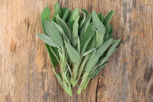 eroon jalkojen pahasta hajusta salvialla