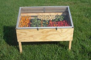 Näin teet itse aurinkoelintarvikekuivurin