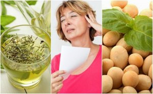 5 luonnontuotetta vaihdevuosiin