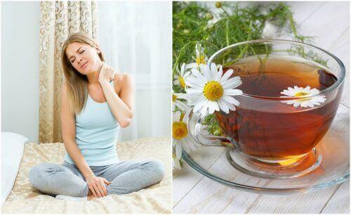 Luontaishoitoja kamomillasta: kamomillalla on rauhoittava vaikutus.