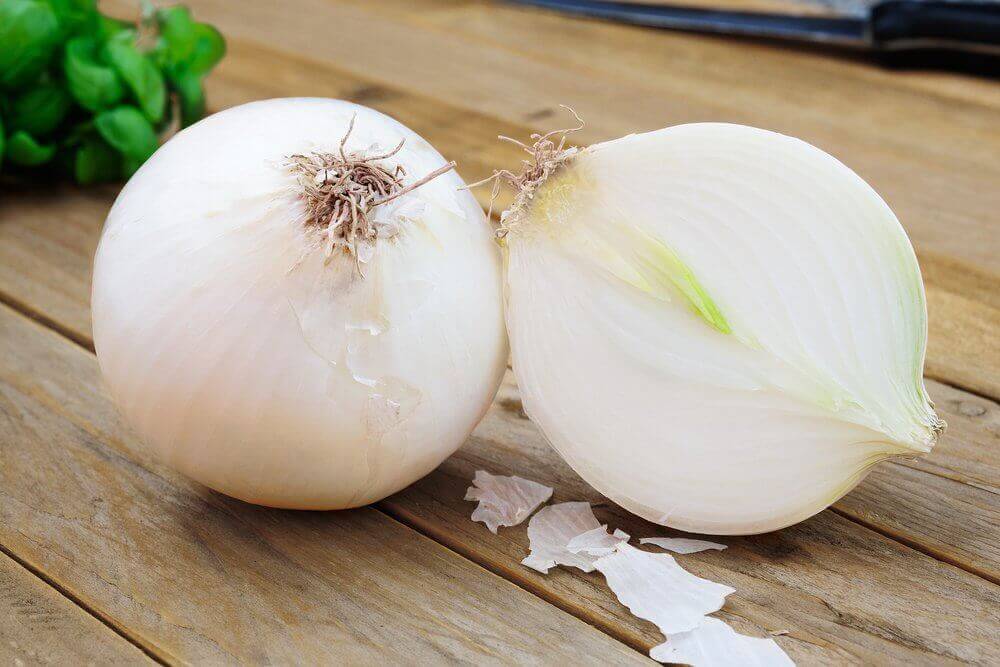 suuri sipuli