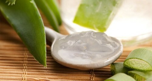aloe veraa