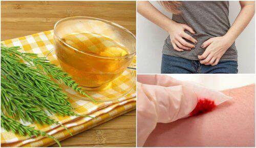 peltokorte terveydenhoidossa