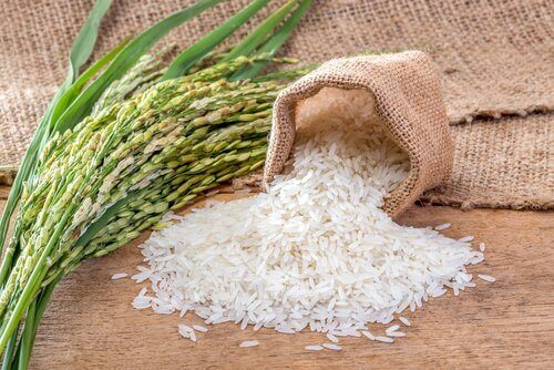 valkoista riisiä