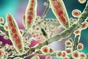 Jalkasienen hoitaminen kotikeinoin