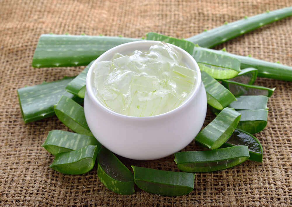 hyönteistenpuremien aiheuttama allergia lievittyy aloe veralla
