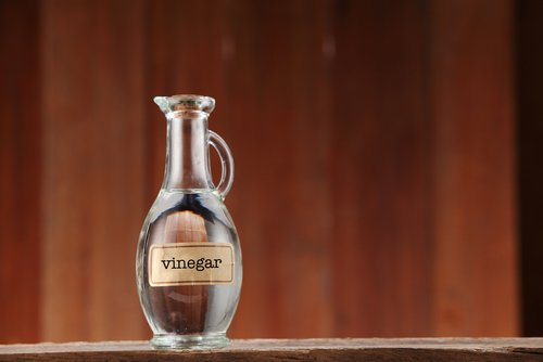hyönteistenpuremien aiheuttama allergia lievittyy etikalla