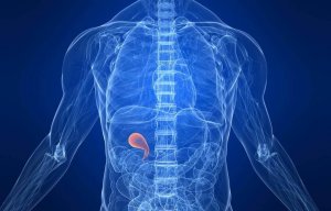 Paras ruokavalio kolekystektomian eli sappirakon poiston jälkeen