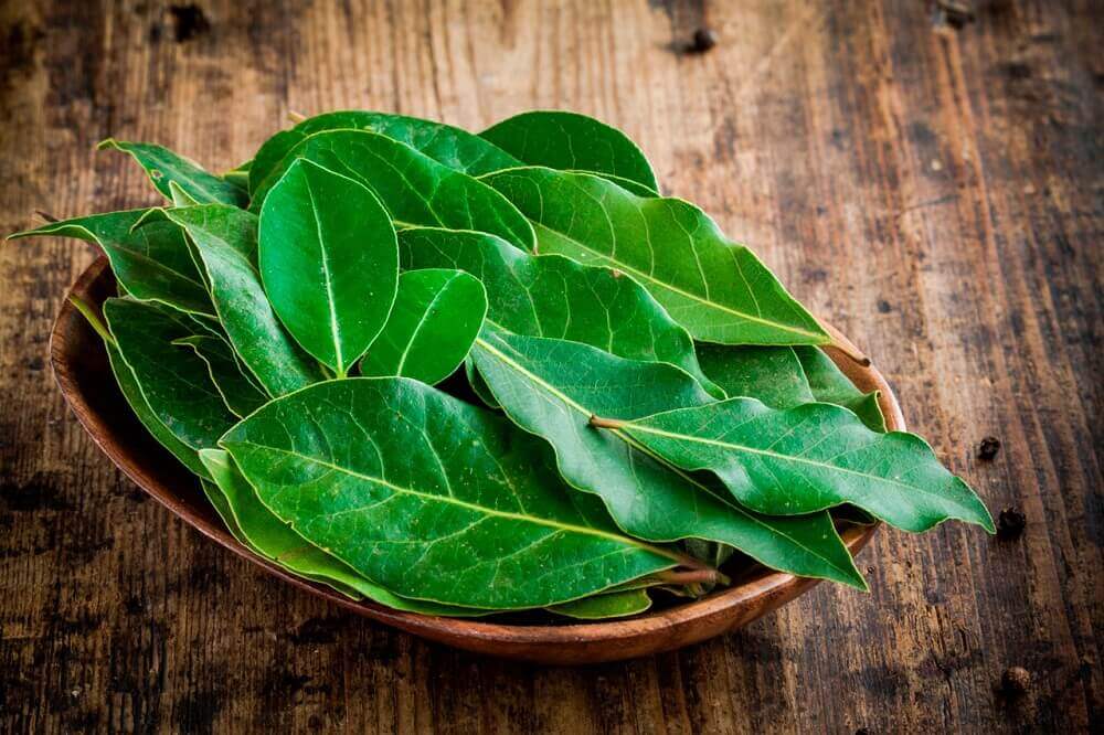 Laakerinlehdet auttavat helpottamaan keuhkojen tukkoisuutta.