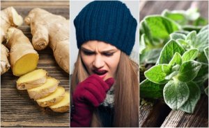 5 limaa irrottavaa luontaishoitoa kasveista