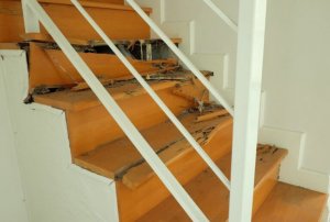 Kuinka pääset eroon kotonasi olevista termiiteistä