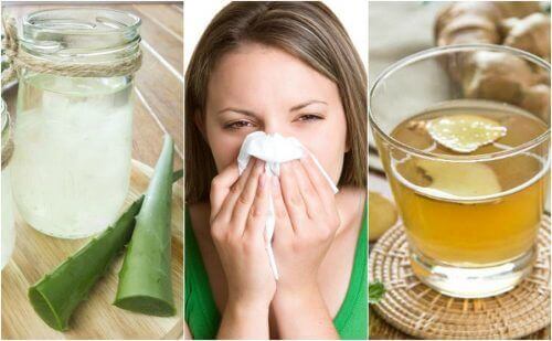 5 luontaishoitoa allergiseen nuhaan