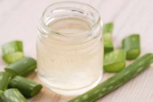 luontaishoidot allergiseen nuhaan: aloe vera