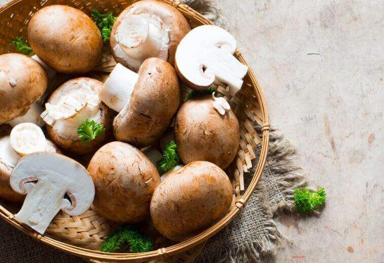 Saat valmistettua herkullista ruokaa sienistä helposti ja vaivattomasti.