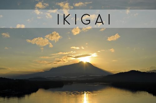 Ikigai - japanilainen käsitys elämän tarkoituksesta
