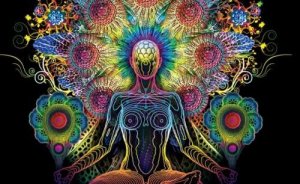 Käpylisäke - "kolmannen silmän" ja vuorokausirytmin säätelijä