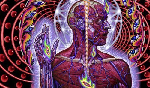 käpyrauhanen ja kolmas silmä