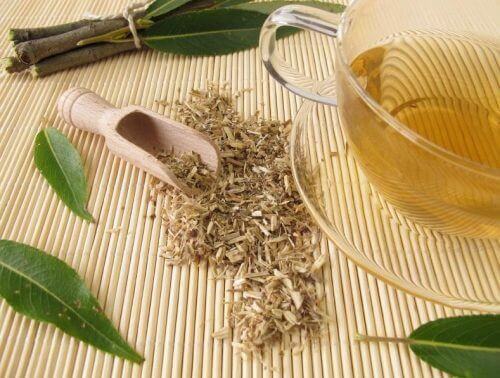 luontaishoidot nivelkipuun: valkosalava