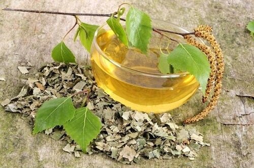 Koivutee on loistava virtsarakontulehduksen hoitoon.