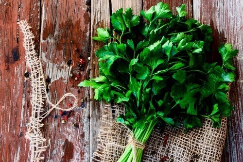 persilja virtsarakontulehduksen hoitoon