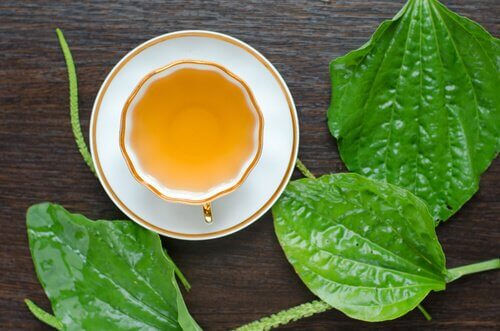 koita luontaishoitoa kurkkukipuun piharatamosta