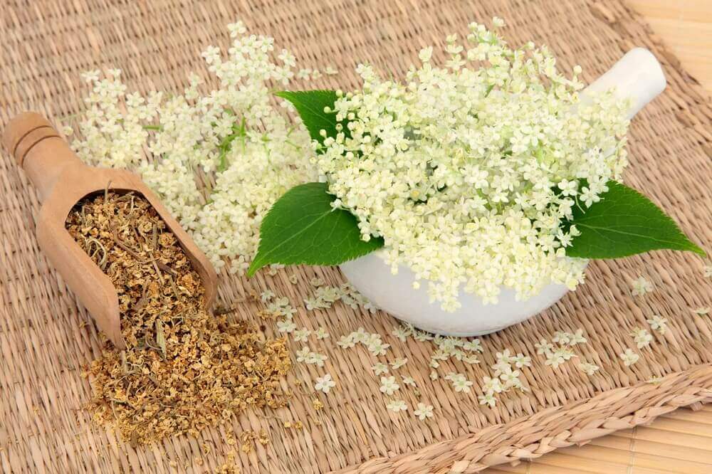 huolehdi ruoansulatuksesta mesiangervon avulla