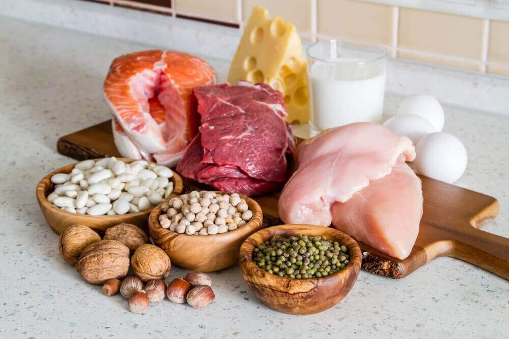 miten hoitaa syyliä ruokavalion avulla: proteiini